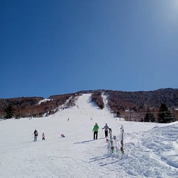 志賀高原中央エリアスキー場に投稿された画像（2022/2/26）