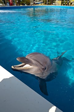 南知多ビーチランド＆南知多おもちゃ王国に投稿された画像（2022/2/26）