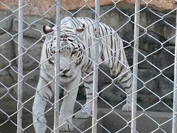 東武動物公園に投稿された画像（2022/2/26）