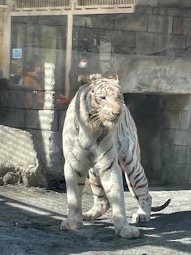 東武動物公園に投稿された画像（2022/2/26）