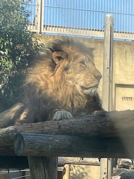 東武動物公園に投稿された画像（2022/2/26）