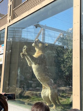 東武動物公園に投稿された画像（2022/2/26）