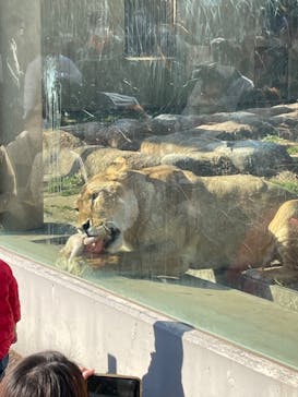 東武動物公園に投稿された画像（2022/2/26）