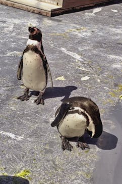 南知多ビーチランド＆南知多おもちゃ王国に投稿された画像（2022/2/26）