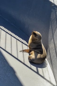 南知多ビーチランド＆南知多おもちゃ王国に投稿された画像（2022/2/26）