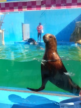 ゼロ距離水族館 伊勢シーパラダイスに投稿された画像（2022/2/26）