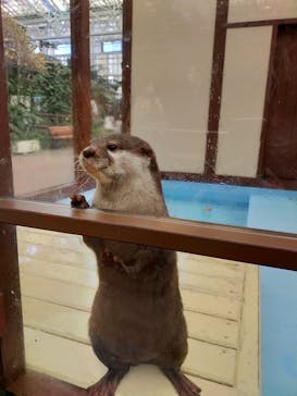 ゼロ距離水族館 伊勢シーパラダイスに投稿された画像（2022/2/26）