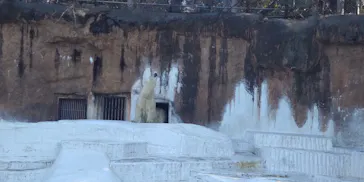 天王寺動物園に投稿された画像（2022/2/26）