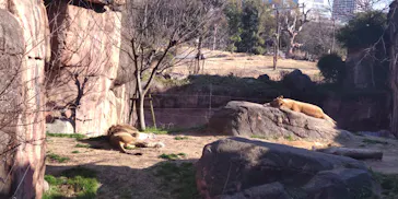 天王寺動物園に投稿された画像（2022/2/26）