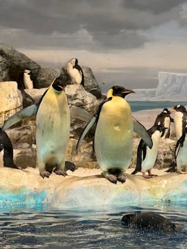 名古屋港水族館に投稿された画像（2022/2/26）