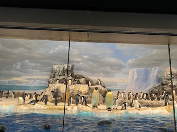 名古屋港水族館に投稿された画像（2022/2/26）