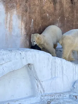 天王寺動物園に投稿された画像（2022/2/26）