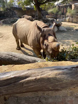 天王寺動物園に投稿された画像（2022/2/26）