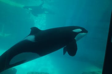 名古屋港水族館に投稿された画像（2022/2/26）