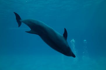 名古屋港水族館に投稿された画像（2022/2/26）