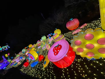 伊豆ぐらんぱる公園に投稿された画像（2022/2/26）