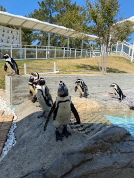 マリンワールド海の中道に投稿された画像（2022/2/26）
