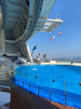 マリンワールド海の中道に投稿された画像（2022/2/26）