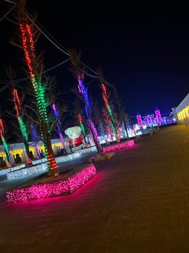 神戸イルミナージュに投稿された画像（2022/2/26）