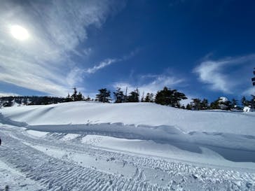 横手山・渋峠スキー場に投稿された画像（2022/2/26）