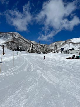 白馬乗鞍温泉スキー場に投稿された画像（2022/2/26）