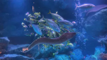 すみだ水族館に投稿された画像（2022/2/26）