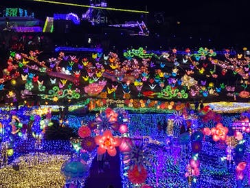 伊豆ぐらんぱる公園に投稿された画像（2022/2/26）