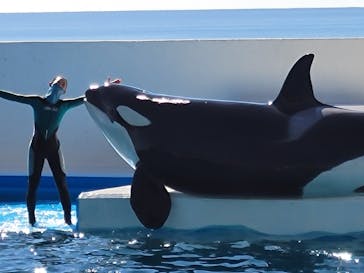 鴨川シーワールドに投稿された画像（2022/2/27）