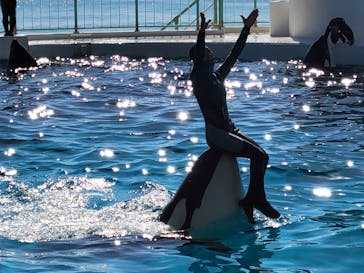 鴨川シーワールドに投稿された画像（2022/2/27）