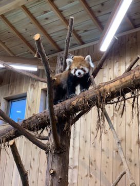 伊豆シャボテン動物公園に投稿された画像（2022/2/27）