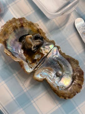 しながわ水族館に投稿された画像（2022/2/27）