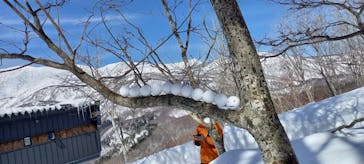 白馬岩岳スノーフィールドに投稿された画像（2022/2/27）