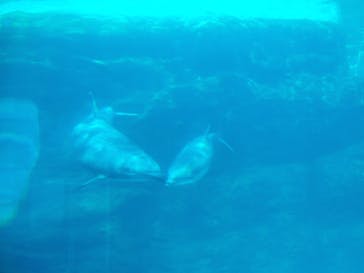 名古屋港水族館に投稿された画像（2022/2/27）