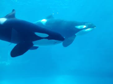 名古屋港水族館に投稿された画像（2022/2/27）