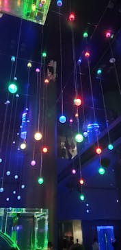 マクセル アクアパーク品川に投稿された画像（2022/2/27）