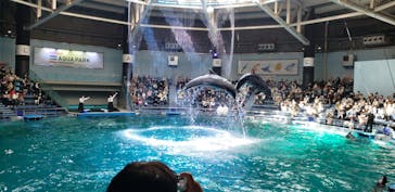 マクセル アクアパーク品川に投稿された画像（2022/2/27）