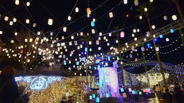 ひらかたパークに投稿された画像（2022/2/27）