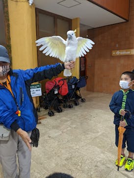 ネオパークオキナワに投稿された画像（2022/2/27）