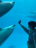 名古屋港水族館に投稿された画像（2022/2/27）