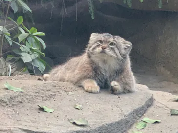 神戸どうぶつ王国に投稿された画像（2022/2/27）