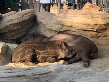 神戸どうぶつ王国に投稿された画像（2022/2/27）