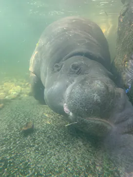 神戸どうぶつ王国に投稿された画像（2022/2/27）