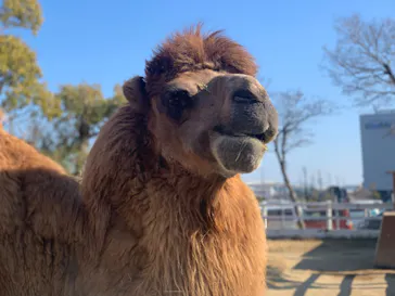 神戸どうぶつ王国に投稿された画像（2022/2/27）