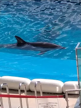 仙台うみの杜水族館に投稿された画像（2022/2/27）