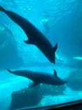 名古屋港水族館に投稿された画像（2022/2/27）