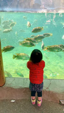 天王寺動物園に投稿された画像（2022/2/27）