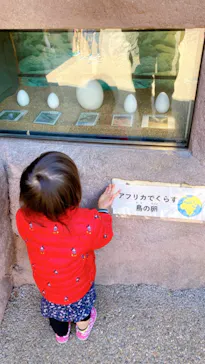 天王寺動物園に投稿された画像（2022/2/27）