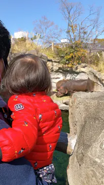 天王寺動物園に投稿された画像（2022/2/27）