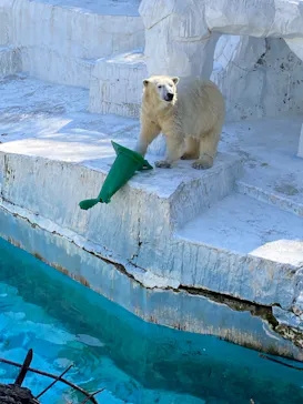 天王寺動物園に投稿された画像（2022/2/27）