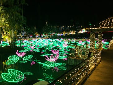 美らヤシパークオキナワ・東南植物楽園に投稿された画像（2022/2/27）